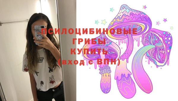 синтетический гашиш Няндома