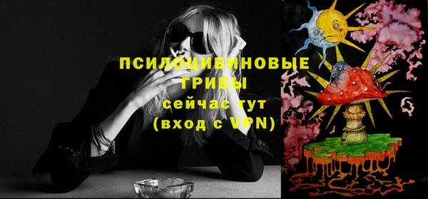 синтетический гашиш Няндома