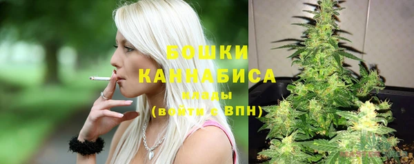 Альфа ПВП Елабуга